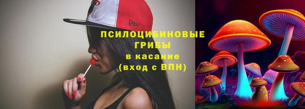 молекула духа Верея