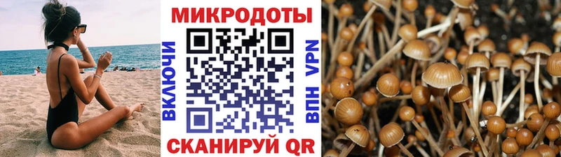 OMG ССЫЛКА  купить наркотики цена  Славянск-на-Кубани  Галлюциногенные грибы MAGIC MUSHROOMS 